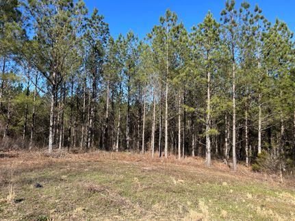 Recreational Property for sale in Chambers County, Alabama