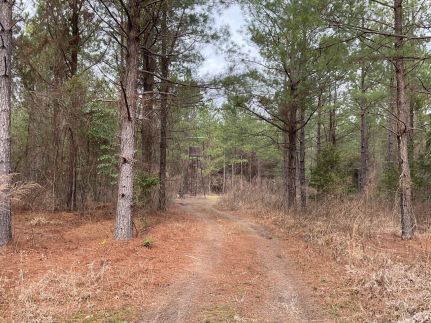 Property for sale in Grant County, Arkansas