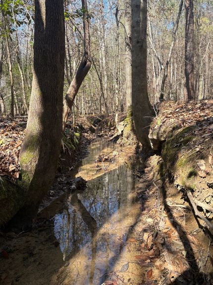 Property for sale in Monroe County, Mississippi