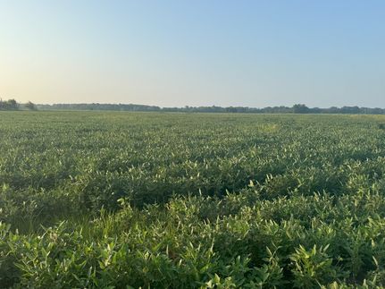 Property for sale in Jefferson County, Arkansas