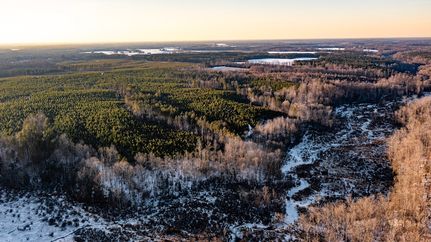 Recreational Property for sale in Caroline County, Virginia