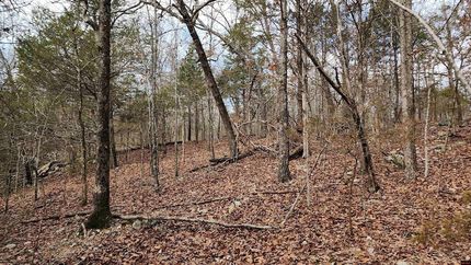 Property for sale in Marion County, Arkansas