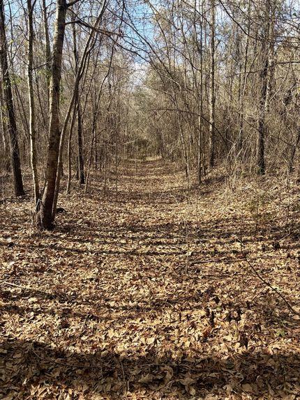 Property for sale in Butler County, Alabama