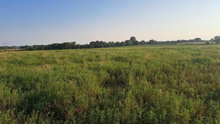 Undeveloped Land for sale in Christian County, Missouri