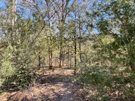 Recreational Property for sale in Lavaca County, Texas