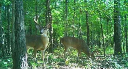 Property for sale in Leflore County, Mississippi