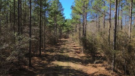 Property for sale in Lowndes County, Mississippi