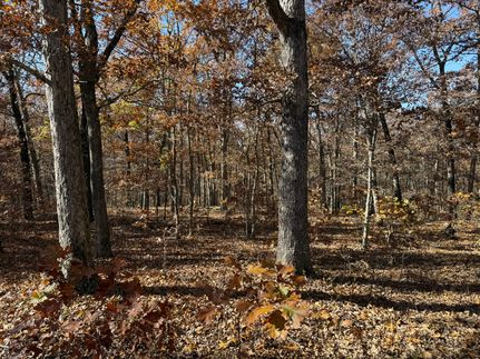 Property for sale in Benton County, Missouri