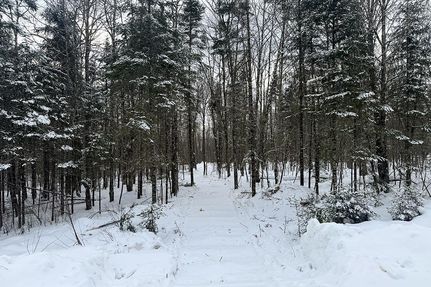 Property for sale in Sawyer County, Wisconsin