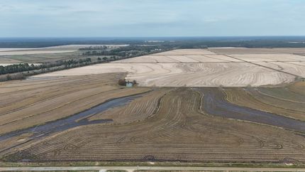 Farm Property for sale in Allen Parish, Louisiana