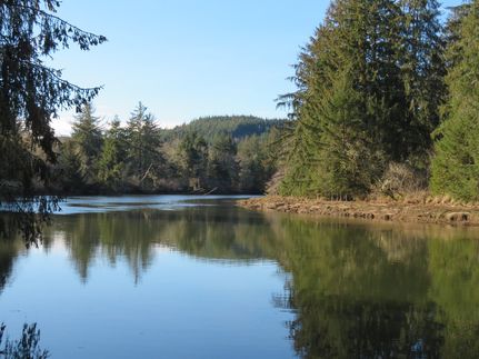Hunting Land for sale in Grays Harbor County, Washington