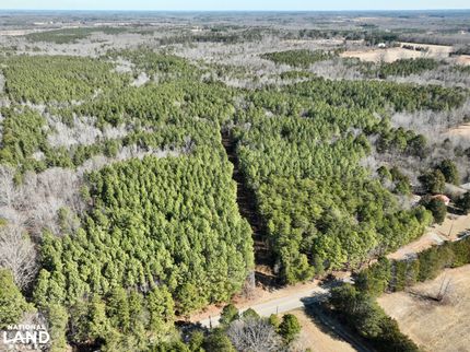 Hunting Land for sale in Halifax County, Virginia