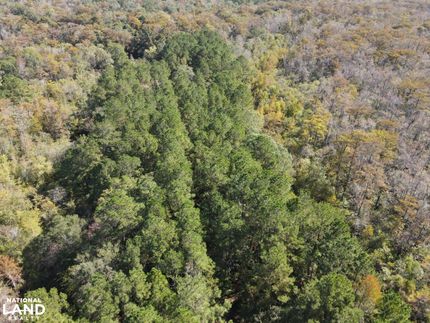 Property for sale in Pender County, North Carolina