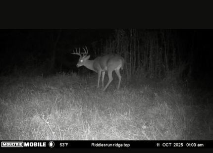 Property in Boone County, Kentucky