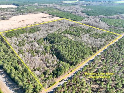 Hunting Land for sale in Wilcox County, Georgia