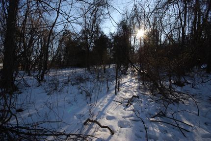 Timberland Property for sale in Jefferson County, West Virginia