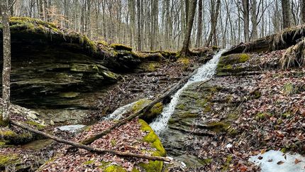 Property for sale in Jackson County, West Virginia