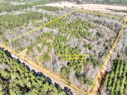 Property for sale in Wilcox County, Georgia