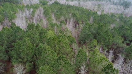 Property for sale in Simpson County, Mississippi