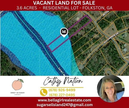 Riverfront Property for sale in Charlton County, Georgia