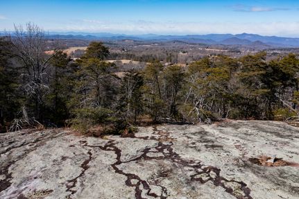 Undeveloped Land for sale in Pickens County, South Carolina