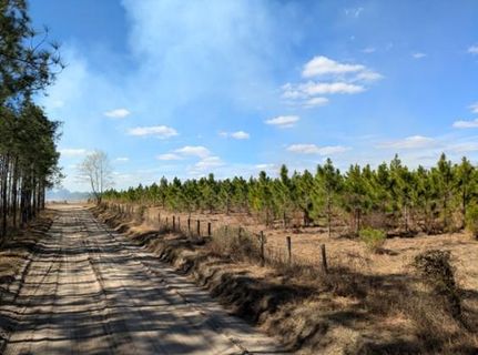 Property for sale in Lafayette County, Florida