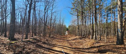 Property for sale in Charlotte County, Virginia