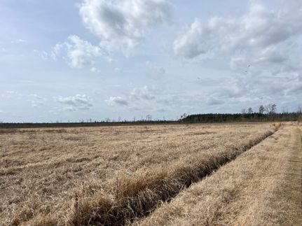 Property for sale in Bertie County, North Carolina