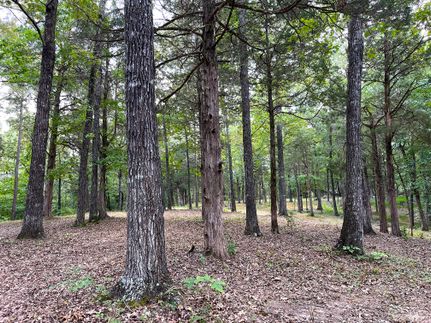 Property for sale in Fayette County, Tennessee