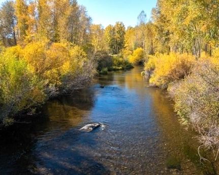 Property for sale in Trinity County, California