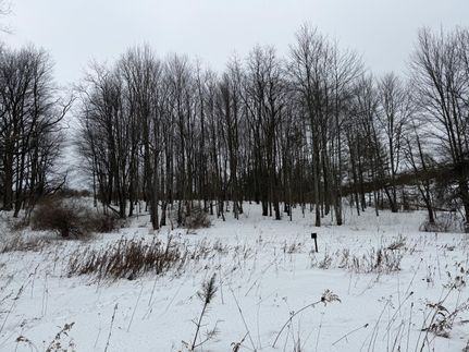 Undeveloped Land for sale in Elk County, Pennsylvania