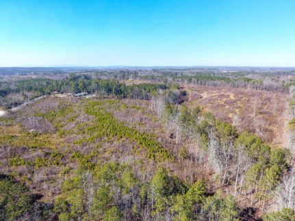 Hunting Land for sale in Haralson County, Georgia