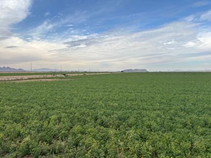 Farm Property for sale in Yuma County, Arizona