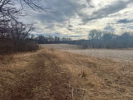 Property for sale in Shelby County, Illinois