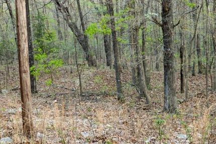Property for sale in Sharp County, Arkansas
