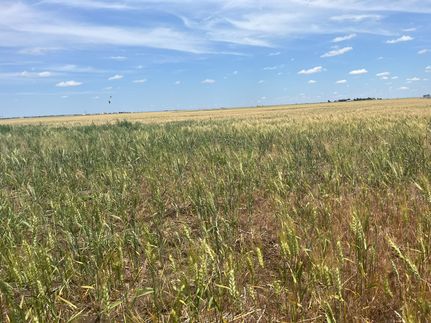 Farm Property for sale in Texas County, Oklahoma