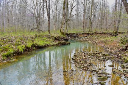 Recreational Property for sale in Livingston County, Kentucky