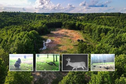 Timberland Property for sale in Franklin County, Alabama