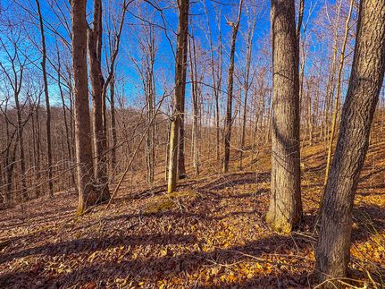 Recreational Property for sale in Lewis County, West Virginia