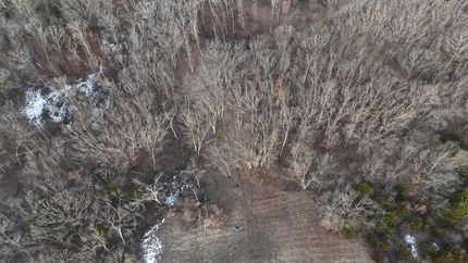 Undeveloped Land for sale in Howard County, Missouri