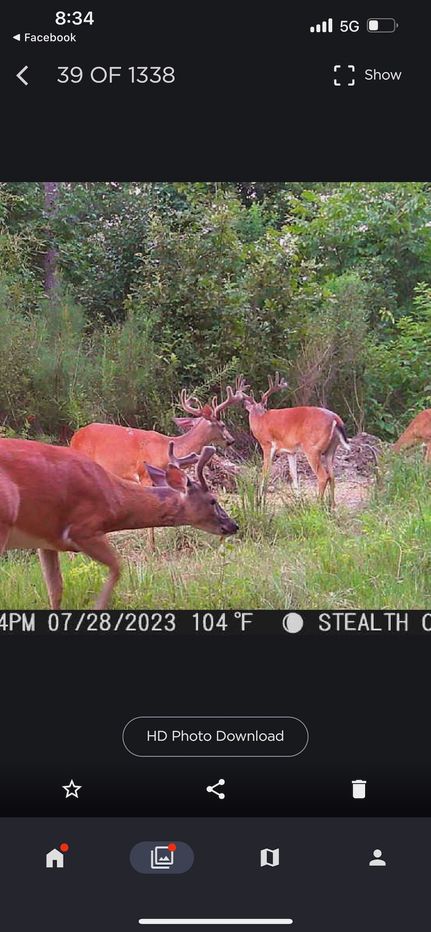 Timberland Property for sale in Catahoula Parish, Louisiana