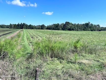 Undeveloped Land for sale in Saint Landry Parish, Louisiana