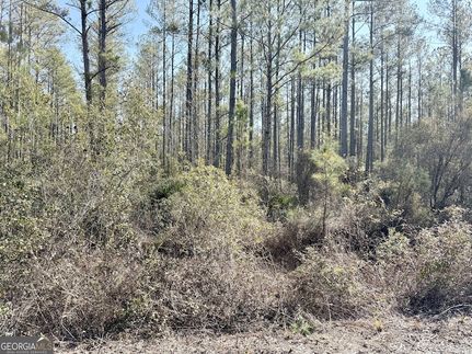 Undeveloped Land for sale in Brantley County, Georgia