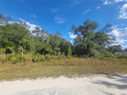 Undeveloped Land for sale in Hernando County, Florida