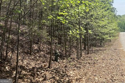 Property for sale in Banks County, Georgia