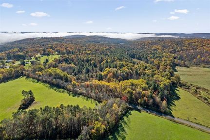 Undeveloped Land for sale in Broome County, New York