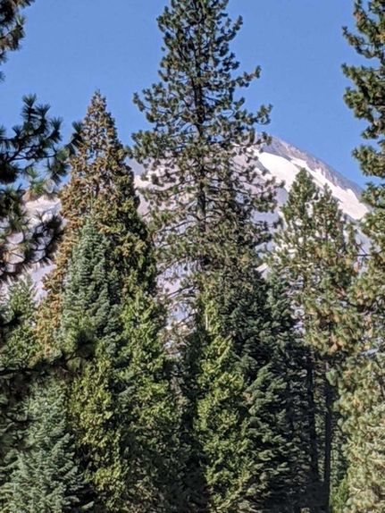 Property for sale in Siskiyou County, California