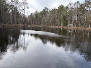 Property for sale in Jones County, Mississippi