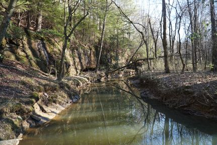 Property for sale in Winston County, Alabama