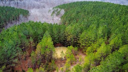 Property in Lewis County, Tennessee